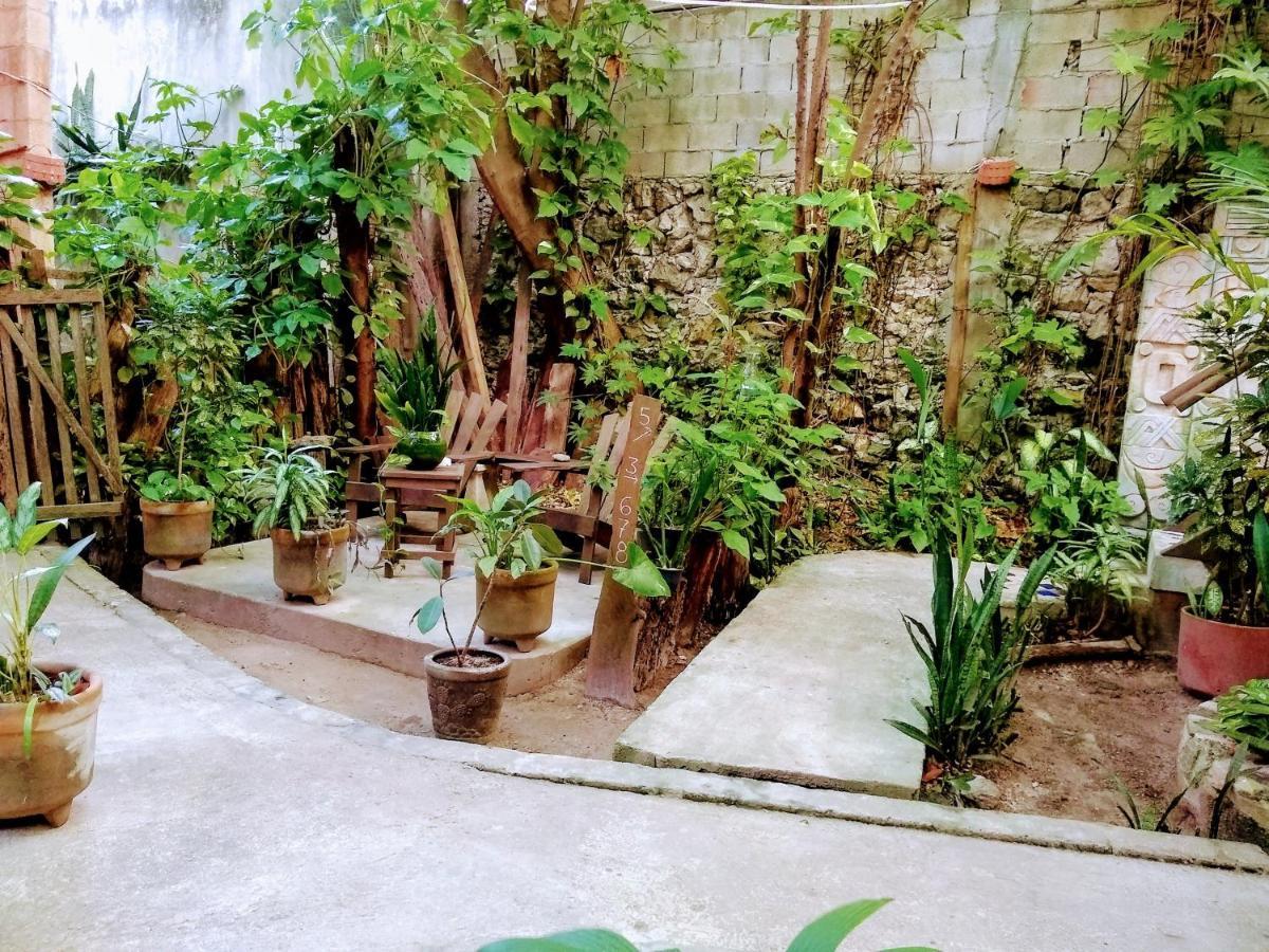 מלון פוארטו מורלוס Casitas Kinsol מראה חיצוני תמונה